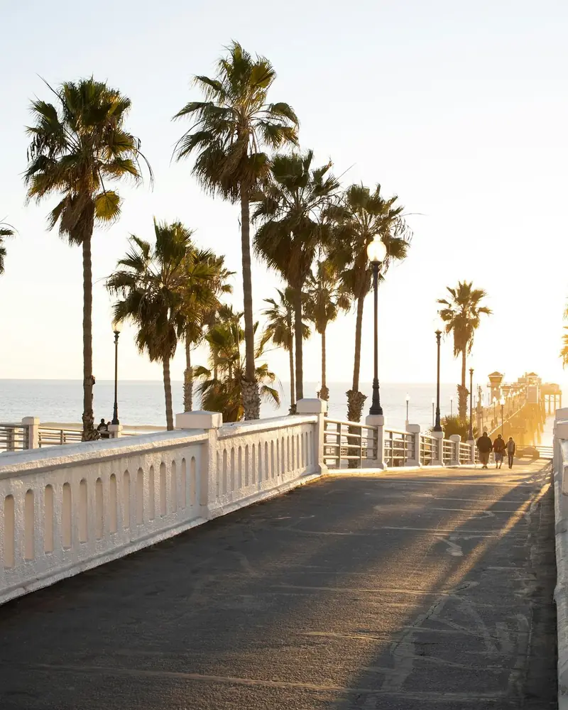 Palm-lined street on the Westside of Los Angeles