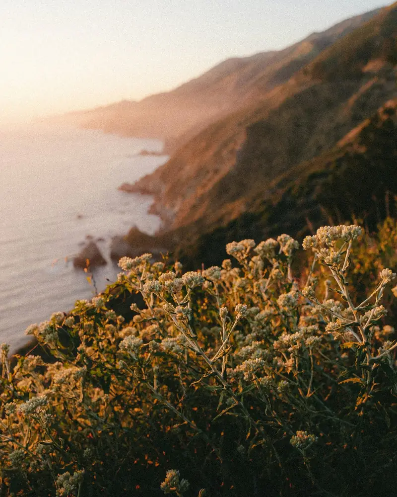 Bluffs and ocean views on the Palos Verdes Peninsula